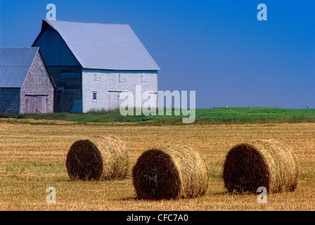 Wirtschaftsgebäude und Kautionen von Heu, Summerfield, Prince Edward Island, Canada Stockfoto