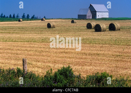 Wirtschaftsgebäude und Kautionen von Heu, Summerfield, Prince Edward Island, Canada Stockfoto