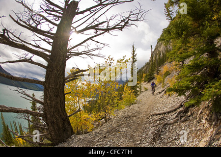 Ein Mountainbiker reitet Singletrails entlang Lake Minnewanka, Banff National Park, AB Stockfoto