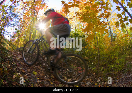 Ein junger Mann genießen Thre fällt, Farben und Mountainbike-Touren rund um Kelso, ON, Canada Stockfoto