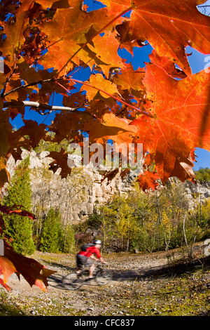 Ein junger Mann genießen Thre fällt, Farben und Mountainbike-Touren rund um Kelso, ON, Canada Stockfoto