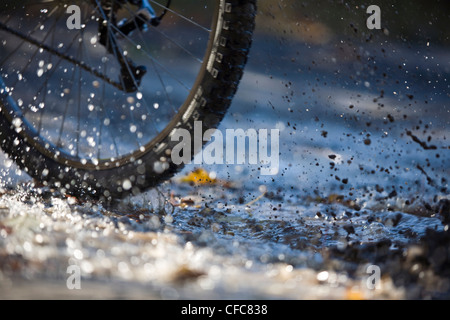 Ein junger Mann genießen Thre fällt, Farben und Mountainbike-Touren rund um Kelso, ON, Canada Stockfoto