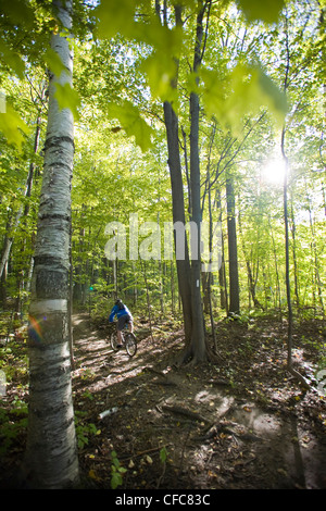 Ein junger Mann genießen Thre fällt, Farben und Mountainbike-Touren rund um Kelso, ON, Canada Stockfoto