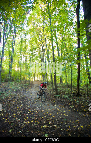 Ein junger Mann genießen Thre fällt, Farben und Mountainbike-Touren rund um Kelso, ON, Canada Stockfoto