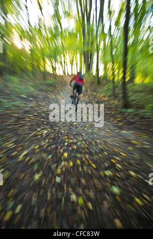 Ein junger Mann genießen Thre fällt, Farben und Mountainbike-Touren rund um Kelso, ON, Canada Stockfoto