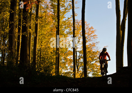 Ein junger Mann genießen Thre fällt, Farben und Mountainbike-Touren rund um Kelso, ON, Canada Stockfoto