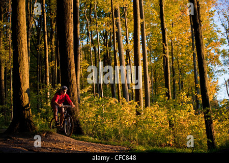 Ein junger Mann genießen Thre fällt, Farben und Mountainbike-Touren rund um Kelso, ON, Canada Stockfoto