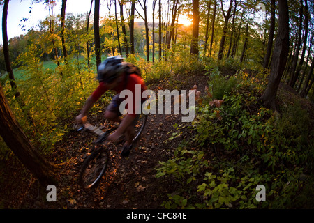 Ein junger Mann genießen Thre fällt, Farben und Mountainbike-Touren rund um Kelso, ON, Canada Stockfoto