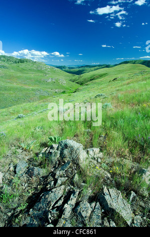 South Okanagan Grasland Protected Area, südliche Okanagan Valley, British Columbia Stockfoto