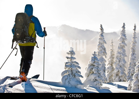 Ein Mann Splitboarding in Revelstoke Backcountry, BC Stockfoto