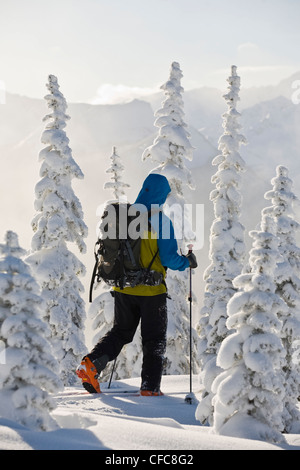 Ein Mann Splitboarding in Revelstoke Backcountry, BC Stockfoto