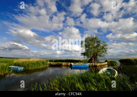 Küstenlandschaften und Mündung mit Angeln Boote, Zempin, Achterwasser, Usedom, Mecklenburg-Western Pomerania, Deutschland, Europa Stockfoto