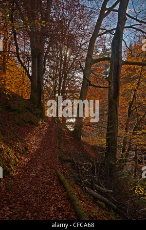 Herbstfärbung Landschaft Killiecrankie Schlucht passieren, Perthshire, Scotland, UK Stockfoto