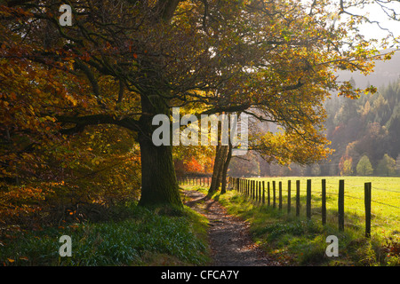 Herbstfärbung Landschaft Killiecrankie Schlucht passieren, Perthshire, Scotland, UK Stockfoto