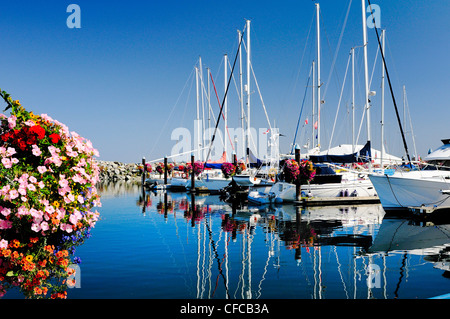 Blumenkörbe und Yachten im Hafen Sidney Marina in Sidney, British Columbia, Kanada Stockfoto