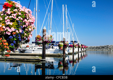 Blumenkörbe, Segelboote und Yachten im Hafen Sidney Marina in Sidney, British Columbia, Kanada Stockfoto