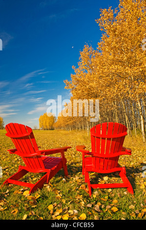 zwei Stühle am Rande eines Feldes mit Aspen in herbstlichen Farben im Hintergrund, Vögel Hill Provincial Park, Manitoba, Kanada Stockfoto