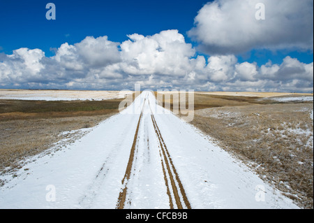 Kiesweg mit Schnee bedeckt, in der Nähe von Hazenmore, Saskatchewan, Kanada Stockfoto