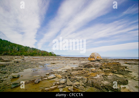 Herron Felsen bei Ebbe Hornby Island bemerkenswert Stockfoto