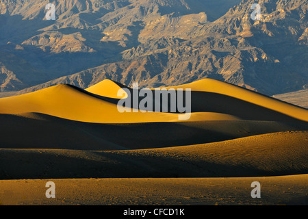 Sanddünen, Stovepipe Wells, Death Valley National Park, der wärmsten und trockensten der Nationalparks in den USA, California, USA Stockfoto