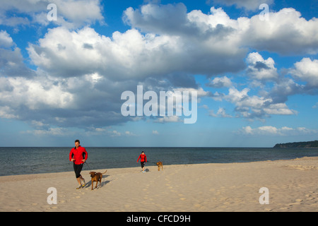 Mann und Frau Joggen mit Hunden am Strand, Seebad Baabe, Insel Rügen, Ostsee, Mecklenburg-Vorpommern, Deutschland Stockfoto