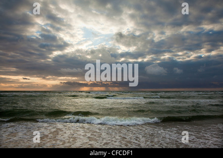 Gewitterwolken am Darßer Weststrand Fischland-Darß-Zingst, Ostsee, Mecklenburg-West Pomerania, Deutschland Stockfoto