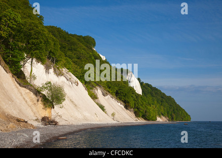 Blick Richtung Koenigstuhl und Kreidefelsen, Nationalpark Jasmund, Rügen, Insel, Ostsee, Mecklenburg-Vorpommern, Ger Stockfoto