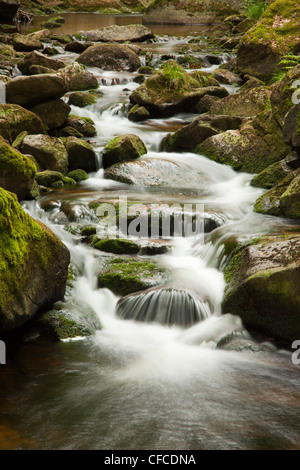 Ilse fällt, Ilse Tal, Heinrich-Heine-Wanderweg in der Nähe von Ilsenburg, Harz Mountains, Sachsen-Anhalt, Deutschland Stockfoto