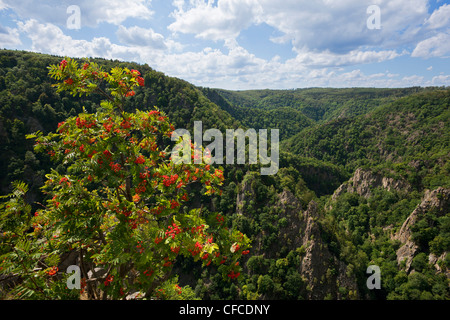 Blick vom Rosstrappe Felsen in das Bode-Tal in der Nähe von Thale, Harz Mountains, Sachsen-Anhalt, Deutschland Stockfoto