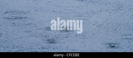 Regentropfen schlagen Wasser in Juneau, Alaska Stockfoto