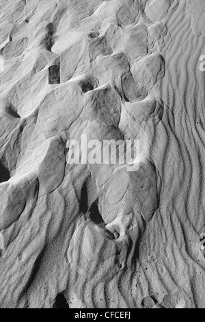 Mesquite flache Sanddünen im Death Valley, Kalifornien, USA Stockfoto