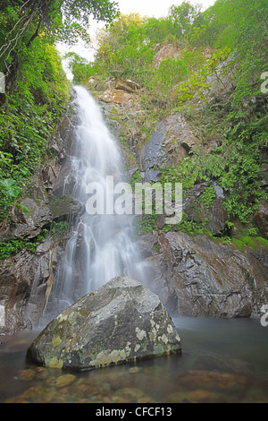 Wateterfall im tiefen Wald Stockfoto