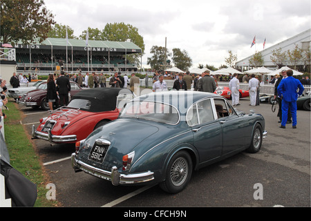 3.8 Jaguar MK2 und XK150 beim Goodwood Revival 2011, Chichester, West Sussex, England, Großbritannien, Vereinigtes Königreich, UK, Europa Stockfoto