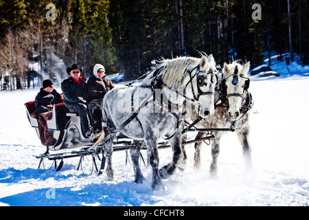 Freunde sitzen unter Decken im Winter, auf Schnee gefüllte Schlittenfahrt. Stockfoto