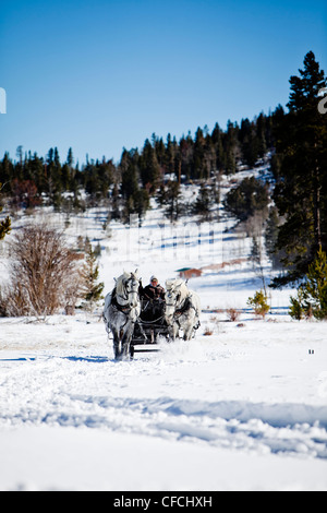 Freunde sitzen unter Decken im Winter, auf Schnee gefüllte Schlittenfahrt. Stockfoto