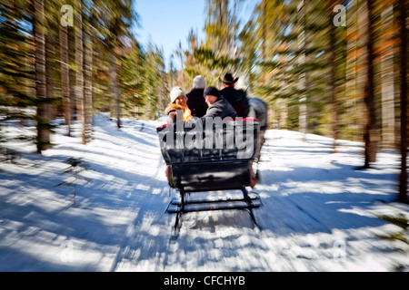 Freunde sitzen unter Decken im Winter, auf Schnee gefüllte Schlittenfahrt. Stockfoto