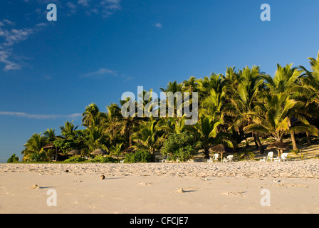 Weichen Sandstrand mit Palmen im Hintergrund. Stühlen, Liegestühlen unter Sonnenschirmen.  Matamanoa Island, Fiji, Südsee. Stockfoto