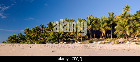 weichen Sandstrand mit Palmen im Hintergrund. Stühlen, Liegestühlen unter Sonnenschirmen.  Matamanoa Island, Fiji, Südsee Stockfoto