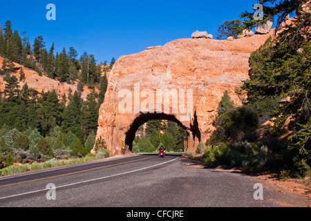 Tunnel am Red Rock Canyon am malerischen Highway 12 in Dixie National Forest in Utah. Stockfoto