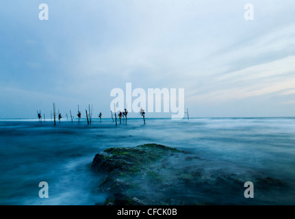 Fischer auf Stelzen im Süden Sri Lankas. Stockfoto