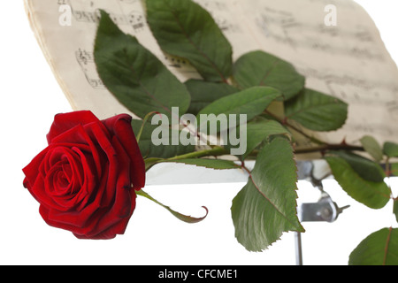 rote Rosen und alten Hinweis Notizen lieben weißen Hintergrundmusik Stockfoto