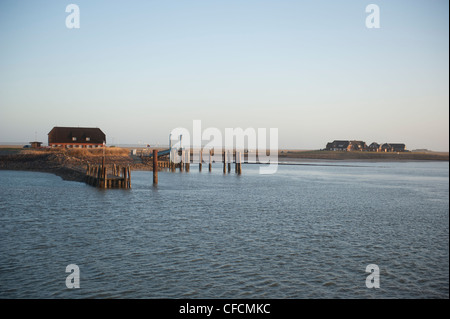 Früh morgens in die Hallig Langeneß mit Blick auf den Hafen in die UNESCO-Welterbe site Wadden Meer von Nordfriesland, Deutschland Stockfoto