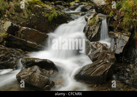 Wasserfall unterhalb Cautley Tülle in Howgill Fells Cumbria Stockfoto