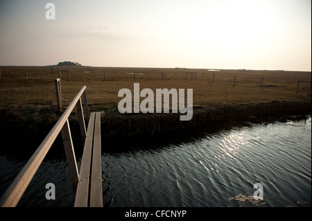 Kleine Brücke, die über eine Gezeiten Bach auf Hallig Langeneß, kleine Insel in der UNESCO Welt Kulturerbe Wadden Meer von Nordfriesland Stockfoto