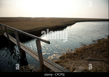 Kleine Brücke, die über eine Gezeiten Bach auf Hallig Langeneß, kleine Insel in der UNESCO Welt Kulturerbe Wadden Meer von Nordfriesland Stockfoto