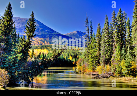 Miette River, Jasper Nationalpark, Alberta, Kanada Stockfoto