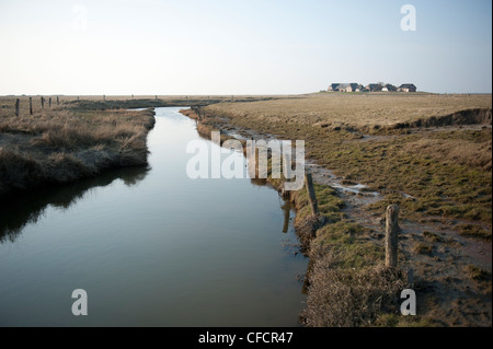 Blick vom K 44 in Richtung Süderhörn Warft auf der Hallig Langeneß, eine einzigartige "Insel" in das Wattenmeer der Nordsee, Deutschland Stockfoto