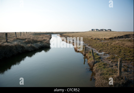 Blick vom K 44 in Richtung Süderhörn Warft auf der Hallig Langeneß, eine einzigartige "Insel" in das Wattenmeer der Nordsee, Deutschland Stockfoto