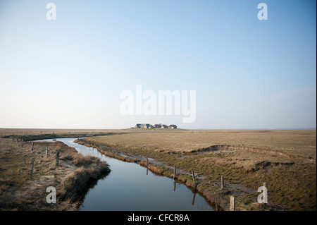 Blick vom K 44 in Richtung Süderhörn Warft auf der Hallig Langeneß, eine einzigartige "Insel" in das Wattenmeer der Nordsee, Deutschland Stockfoto