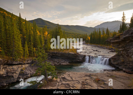 Sheep River Falls, Sheep River, Alberta, Kanada Stockfoto